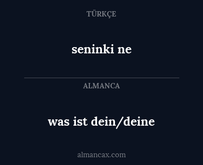 seninki ne - was ist dein/deine