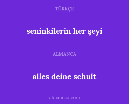 alles deine schult - seninkilerin her şeyi