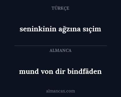 mund von dir bindfäden - seninkinin ağzına sıçim