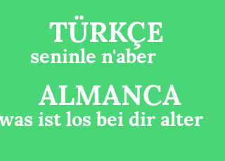 seninle+n%26%2339%3Baber-was+ist+los+bei+dir+alter.png