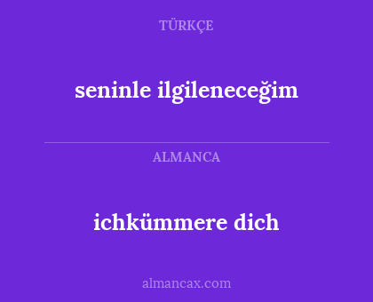 seninle ilgileneceğim - ichkümmere dich
