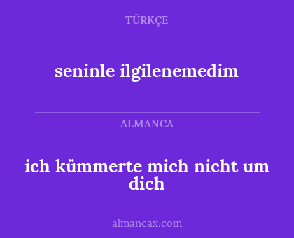 seninle ilgilenemedim - ich kümmerte mich nicht um dich