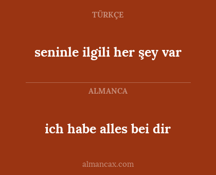 seninle ilgili her şey var - ich habe alles bei dir