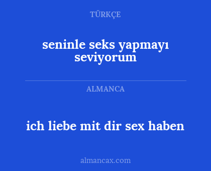 ich liebe mit dir sex haben - seninle seks yapmayı seviyorum