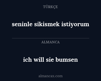 ich will sie bumsen - seninle sikismek istiyorum