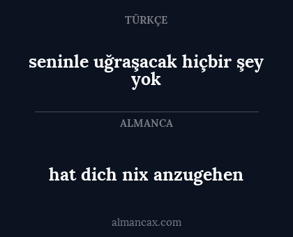 hat dich nix anzugehen - seninle uğraşacak hiçbir şey yok