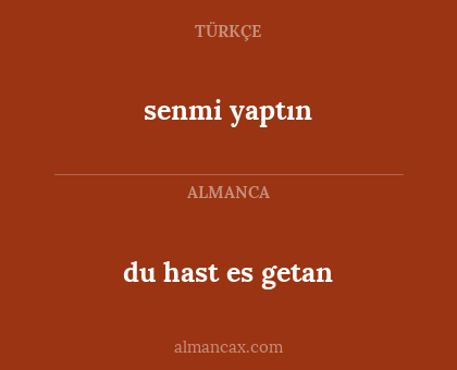 senmi yaptın - du hast es getan