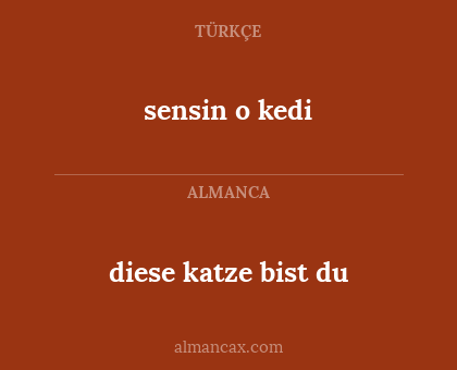 sensin o kedi - diese katze bist du