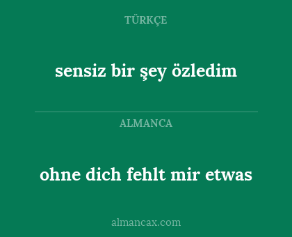 ohne dich fehlt mir etwas - sensiz bir şey özledim