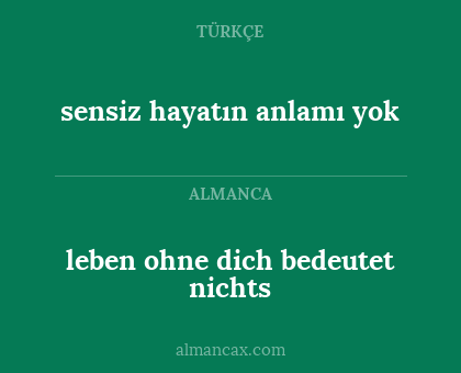 leben ohne dich bedeutet nichts - sensiz hayatın anlamı yok