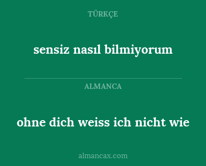 sensiz nasıl bilmiyorum - ohne dich weiss ich nicht wie