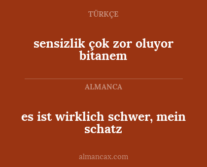 es ist wirklich schwer, mein schatz - sensizlik çok zor oluyor bitanem
