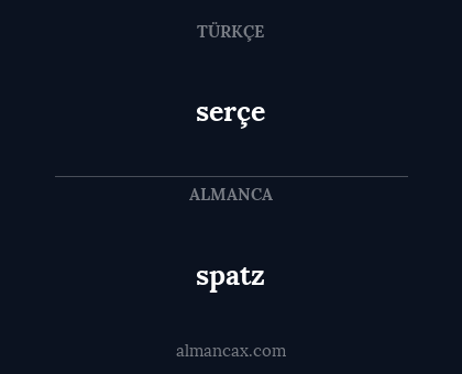 serçe - spatz