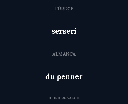 serseri - du penner
