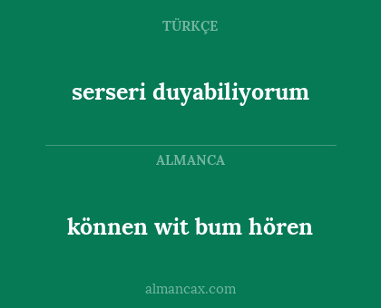 serseri duyabiliyorum - können wit bum hören