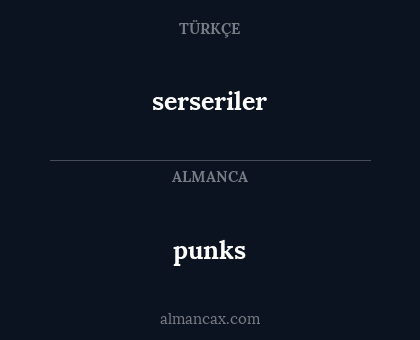 serseriler - punks