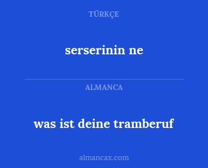 serserinin ne - was ist deine tramberuf