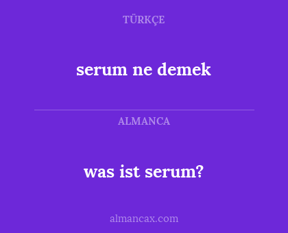 serum ne demek - was ist serum?