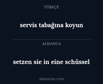 servis tabağına koyun - setzen sie in eine schüssel