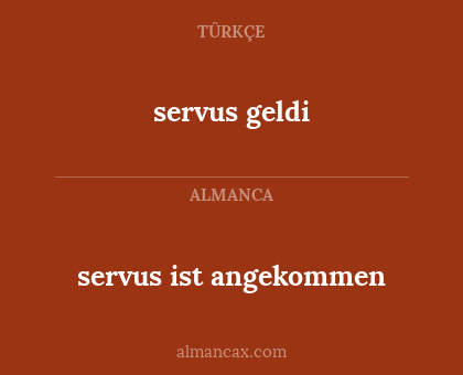 servus geldi - servus ist angekommen