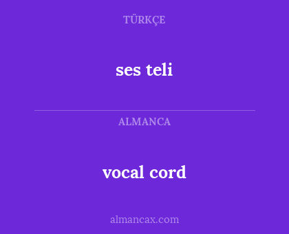 ses teli - vocal cord