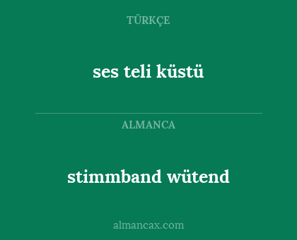 ses teli küstü - stimmband wütend