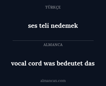 ses teli nedemek - vocal cord was bedeutet das