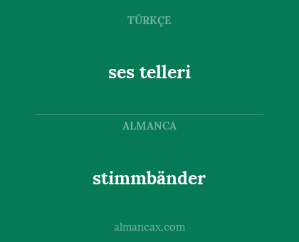 stimmbänder - ses telleri