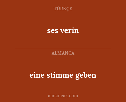 eine stimme geben - ses verin