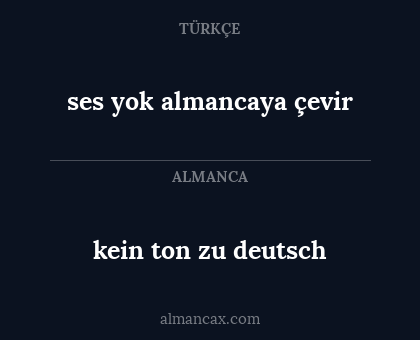 ses yok almancaya çevir - kein ton zu deutsch