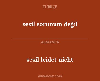 sesil leidet nicht - sesil sorunum değil