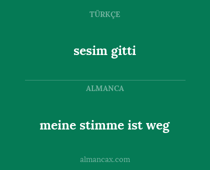 sesim gitti - meine stimme ist weg