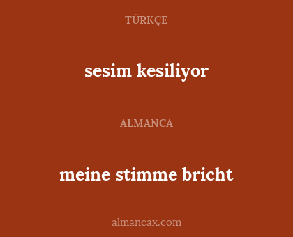 meine stimme bricht - sesim kesiliyor
