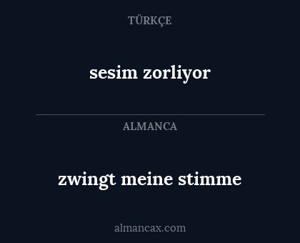 sesim zorliyor - zwingt meine stimme