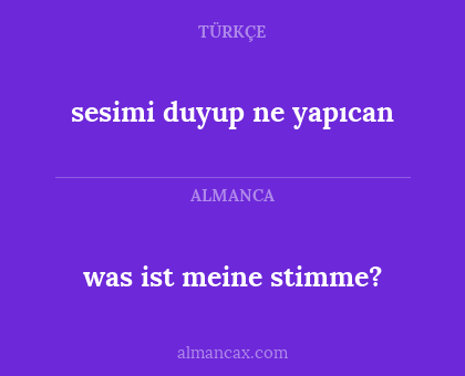 sesimi duyup ne yapıcan - was ist meine stimme?