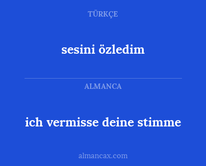ich vermisse deine stimme - sesini özledim