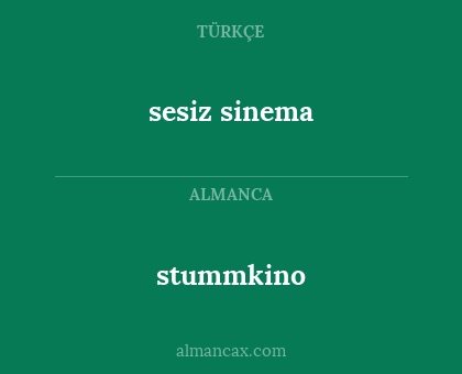 stummkino - sesiz sinema