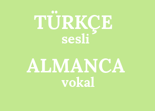 Almanca Ceviri Vokal Turkcesi Nedir Vokal Ne Demek Vokal Cevirisi Nedir Almanca Vokal Ne Demek