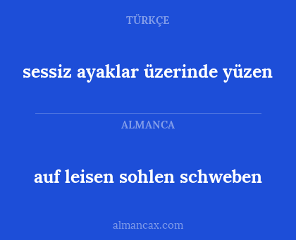 sessiz ayaklar üzerinde yüzen - auf leisen sohlen schweben