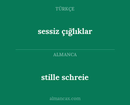 stille schreie - sessiz çığlıklar