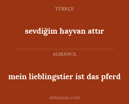 sevdiğim hayvan attır - mein lieblingstier ist das pferd