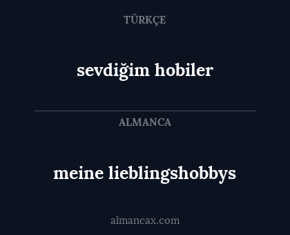 meine lieblingshobbys - sevdiğim hobiler
