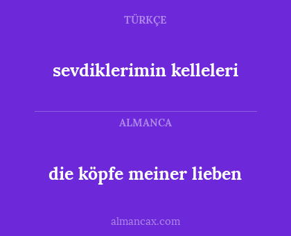 die köpfe meiner lieben - sevdiklerimin kelleleri