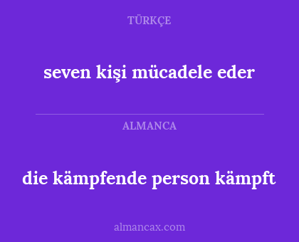 die kämpfende person kämpft - seven kişi mücadele eder