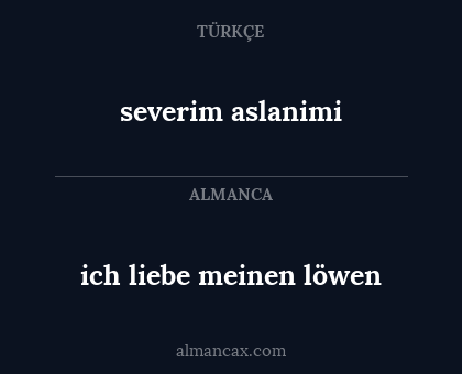 ich liebe meinen löwen - severim aslanimi