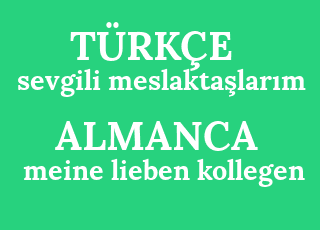 sevgili+meslakta%C5%9Flar%C4%B1m-meine+lieben+kollegen.png