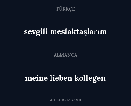 meine lieben kollegen - sevgili meslaktaşlarım