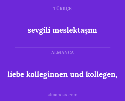 sevgili meslektaşım - liebe kolleginnen und kollegen,