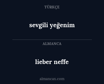 lieber neffe - sevgili yeğenim