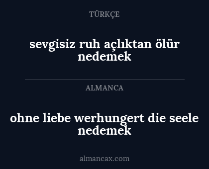 ohne liebe werhungert die seele nedemek - sevgisiz ruh açlıktan ölür nedemek